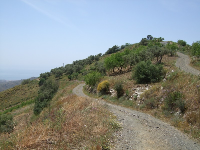 Anadalusien 2009 - 0080 